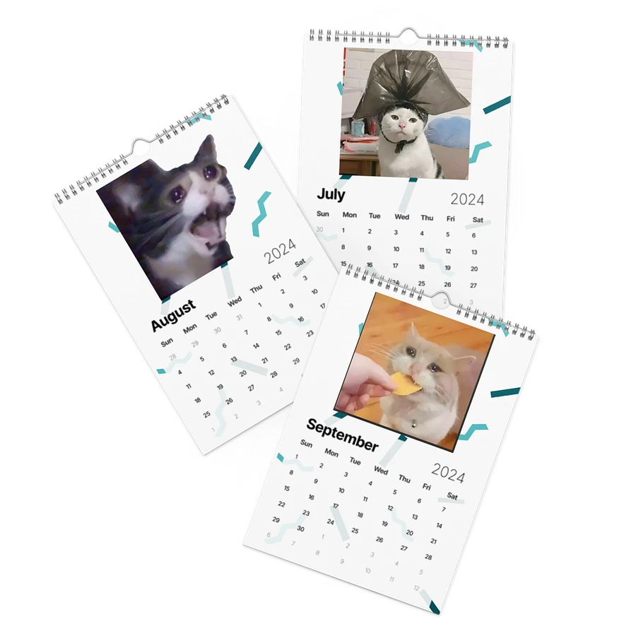 Wall Calendar (2024): Meme Cats product image (11)