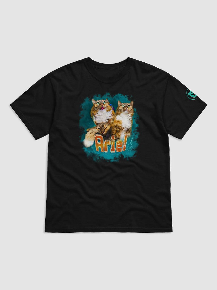 Bday Shirt Spinkittea and ariel! product image (1)