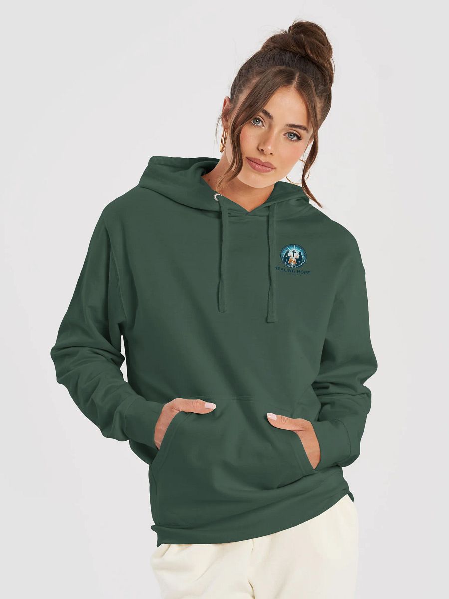 Jason's Place Hoodie product image (29)