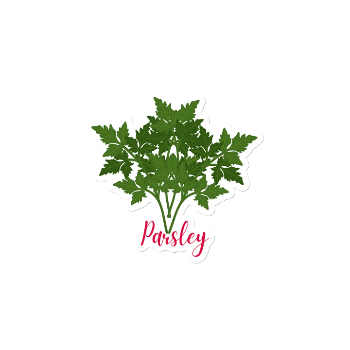 Parsley Herb Gardening Magnet product image (2)