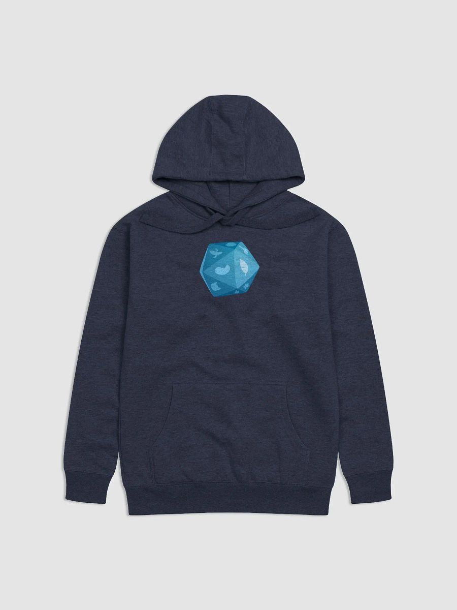 b20 - Briny Hoodie product image (2)
