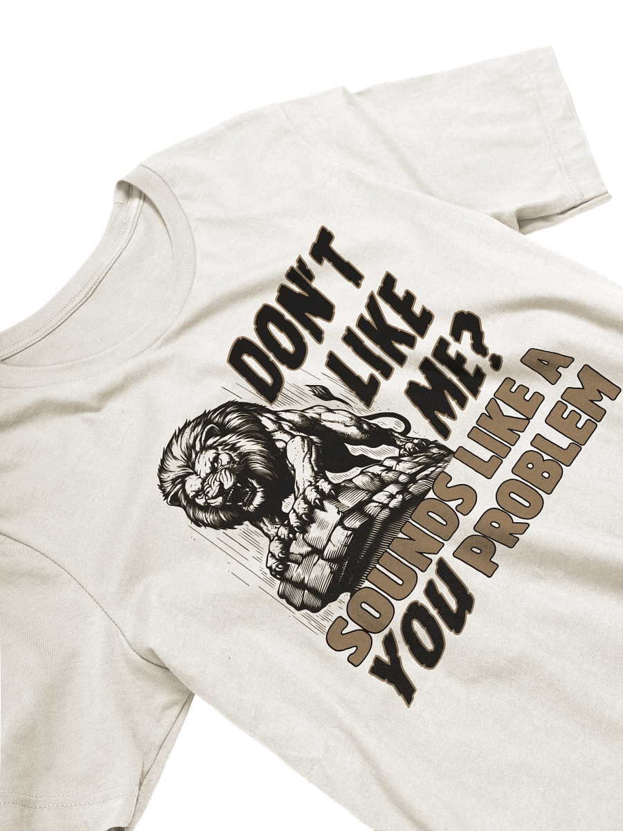 Don't Like Me? T-Shirt product image (3)