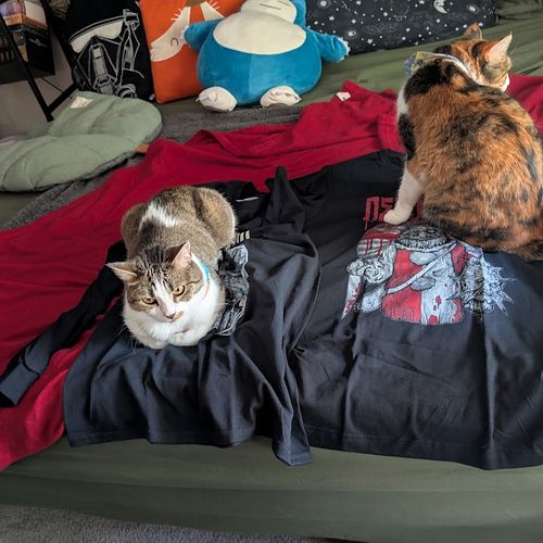 My @thedeadmanco clothing arrived!!! 

Sadly, Fleety claimed my long sleeve. His face says this is mine, buy yourself a new o...