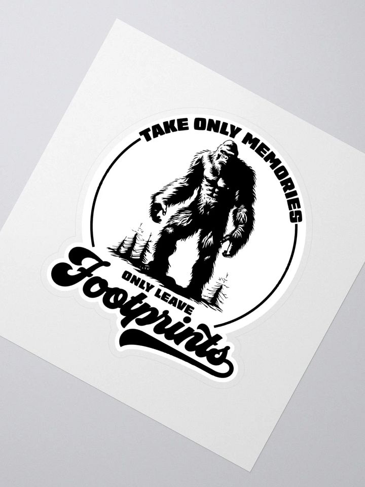Take Memories Leave Footprints Funny Hiking Sticker product image (6)