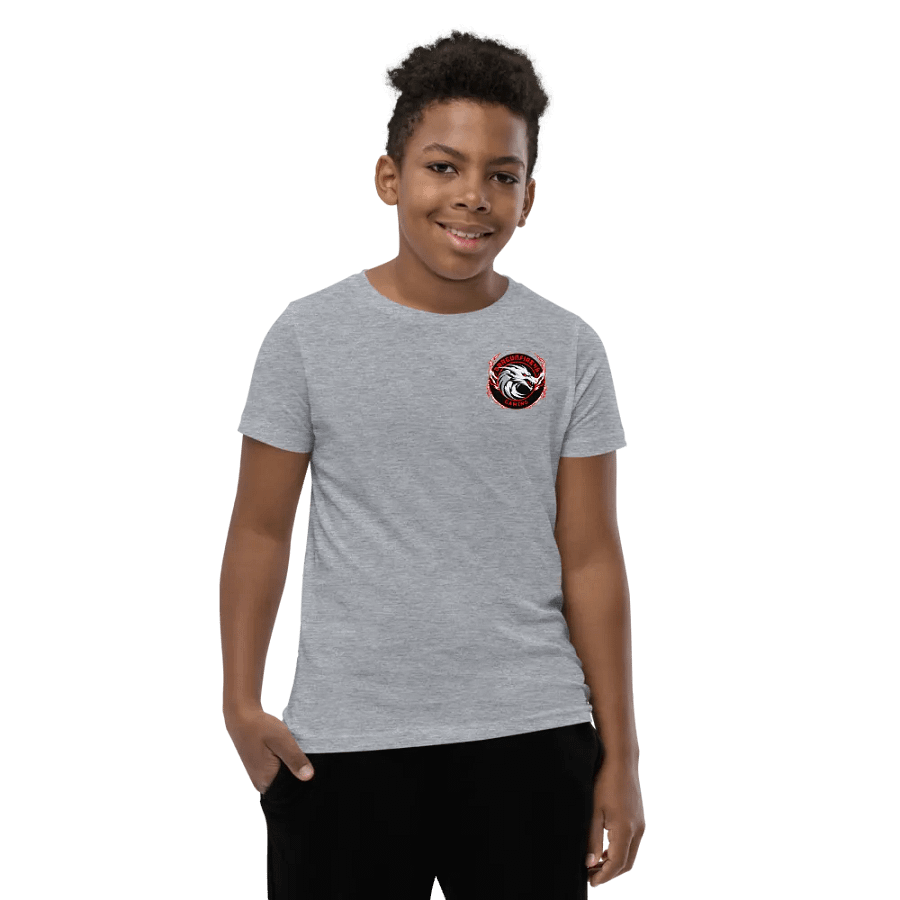 Dragonfire46 Gaming Official Youth Tee Merch product image (7)