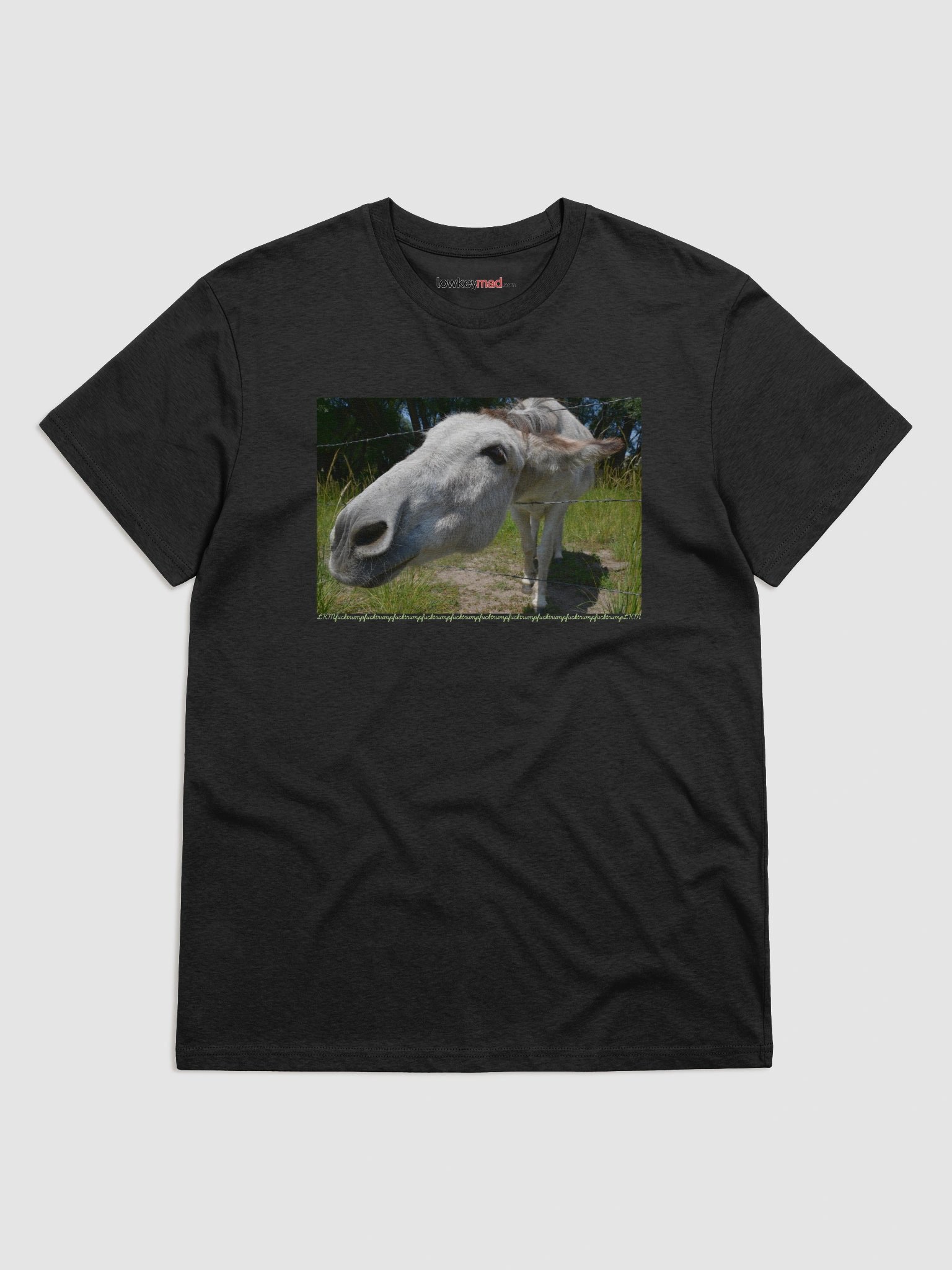 Donkey Says FT LKM Organic Tee product image (1)