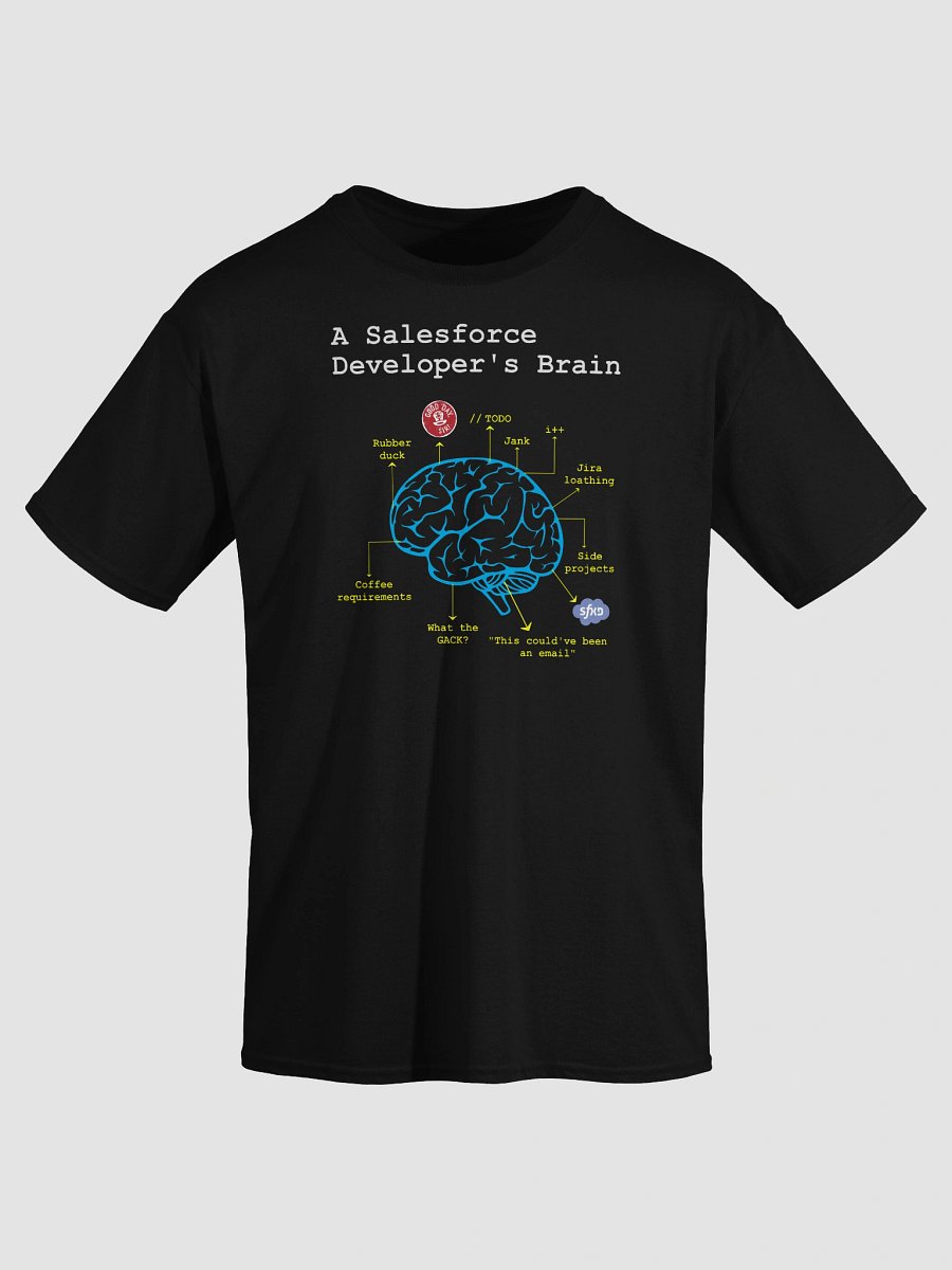 A Salesforce Developer’s Brain product image (21)