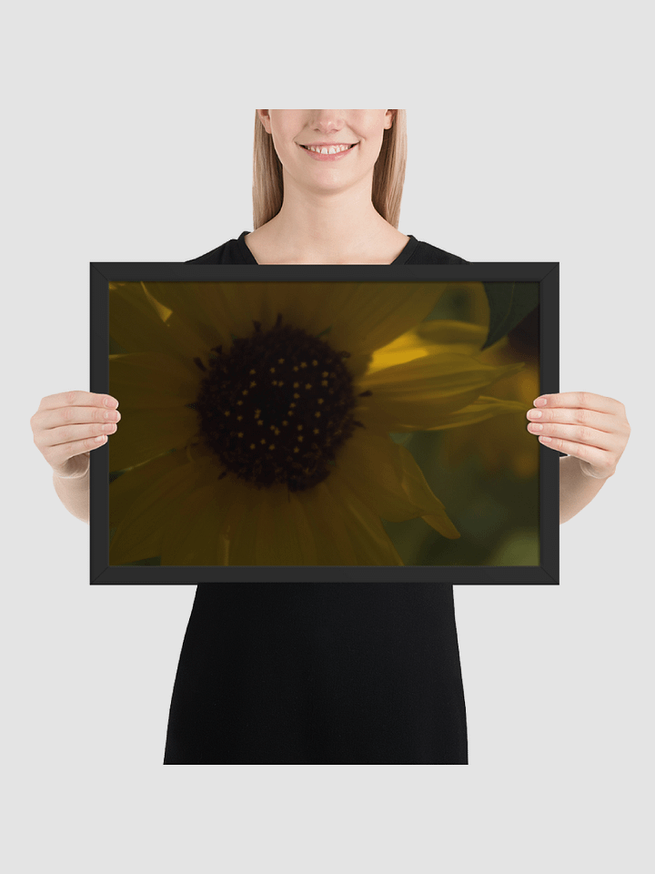 Sun flower Framed photography Poster product image (2)