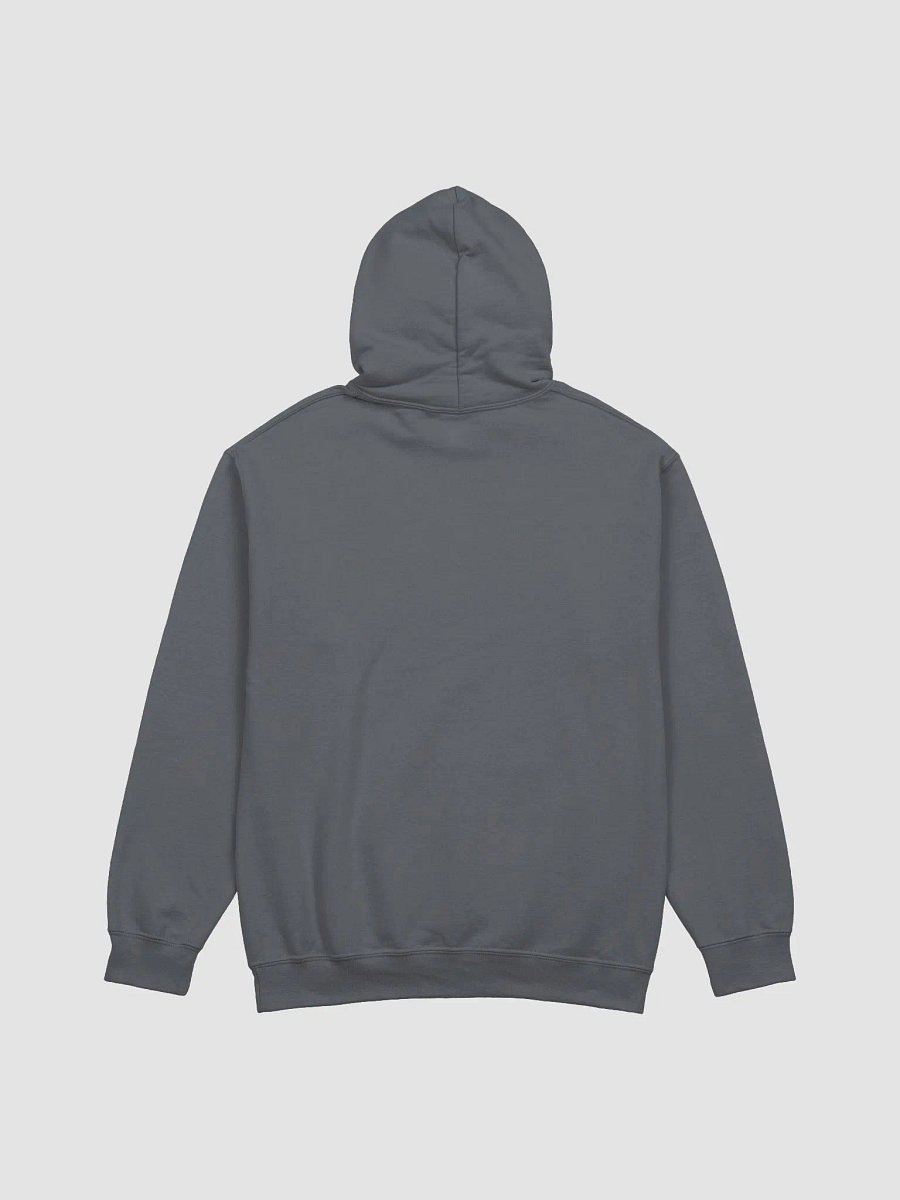my BORSCHT classic hoodie product image (3)