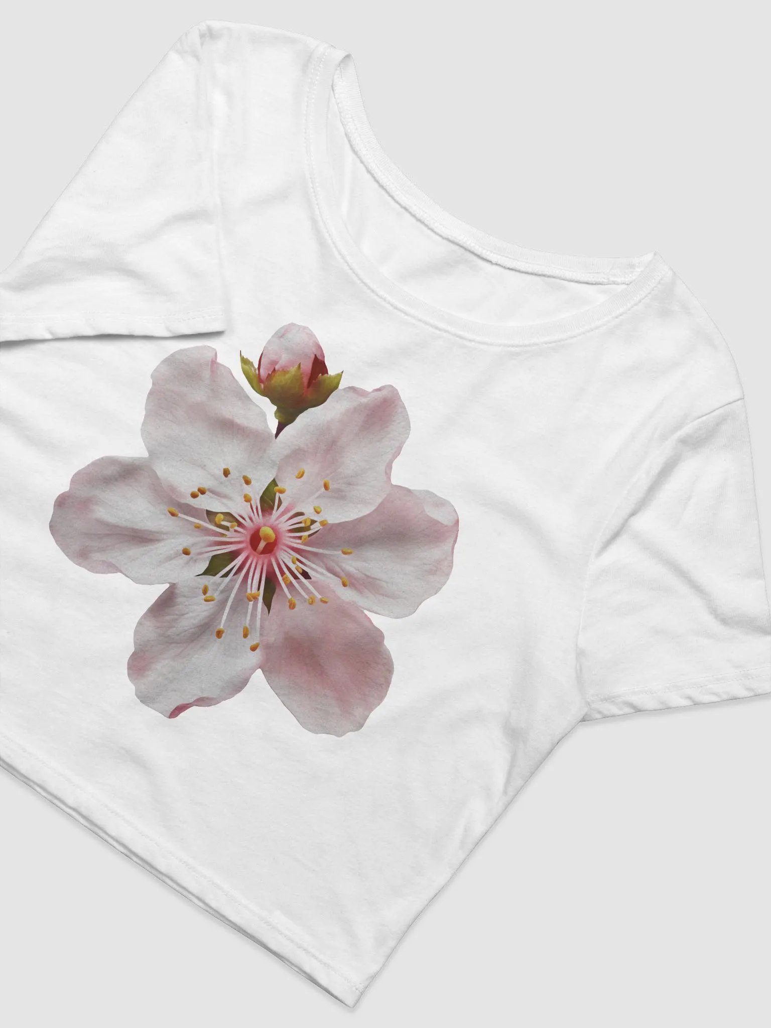 Cherry Blossom crop tee product image (2)