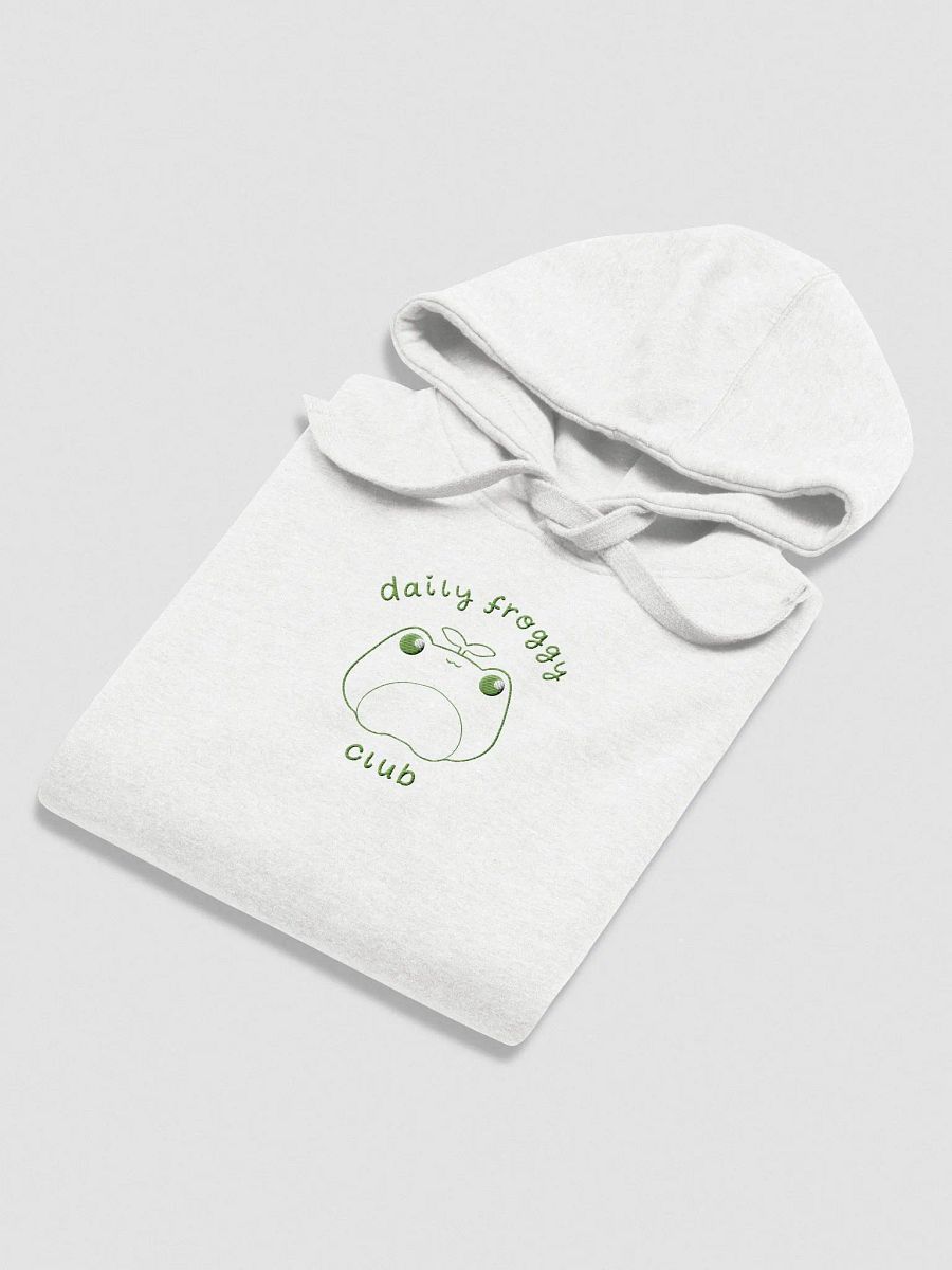 Daily Froggy Club Embroidered Hoodie product image (4)