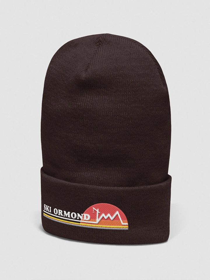 Ski Ormond Beanie product image (10)