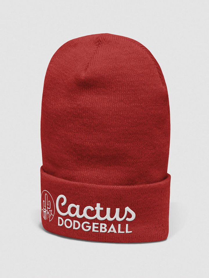 Cactus Dodgeball 