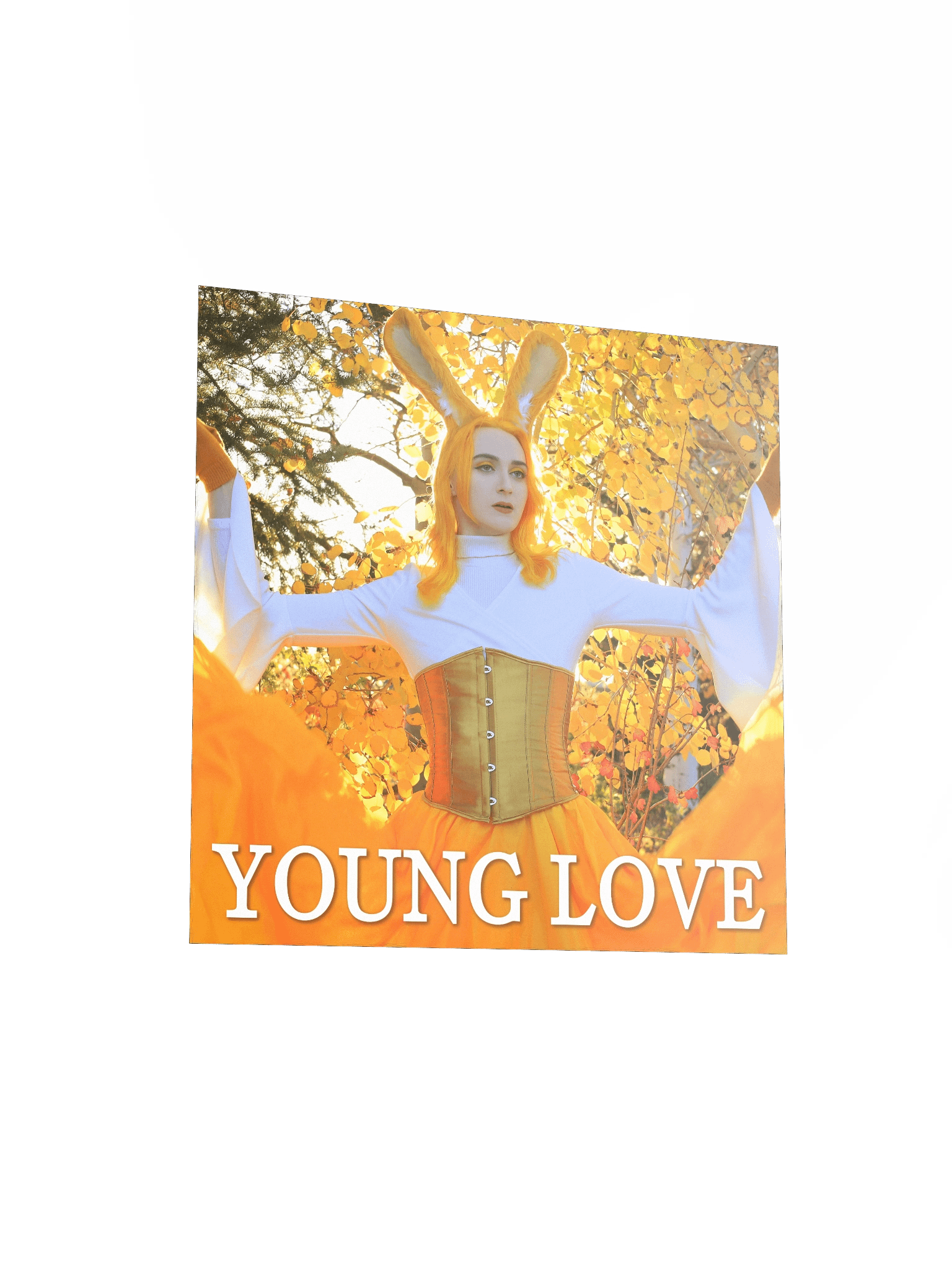 Young Love Poster [1 of 4] product image (12)