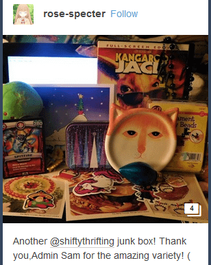 ShiftyThrifting Junk Box product image (3)