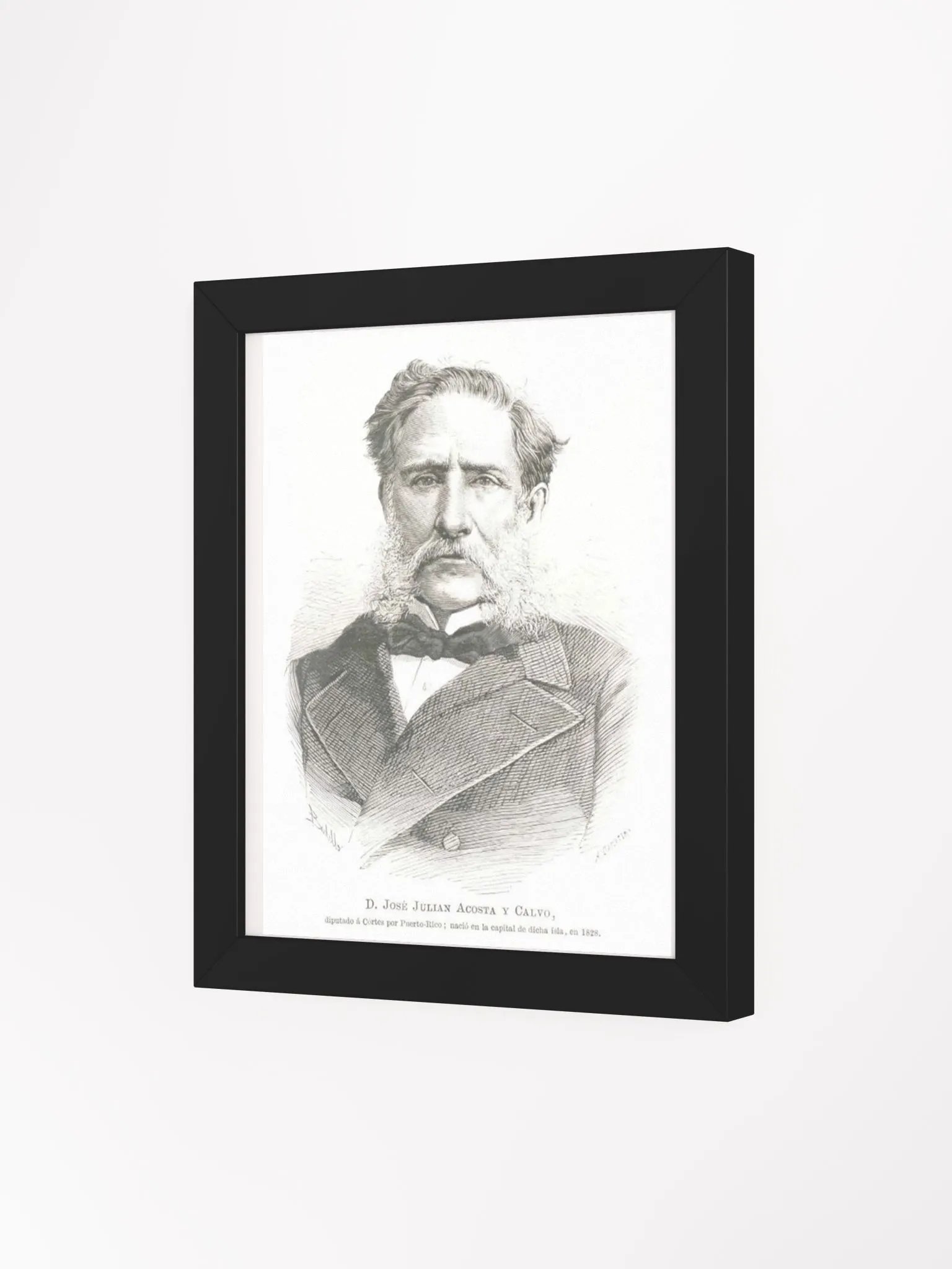 Cuadro - José Julián Acosta y Calvo: Diputado Provincia de Puerto Rico product image (3)