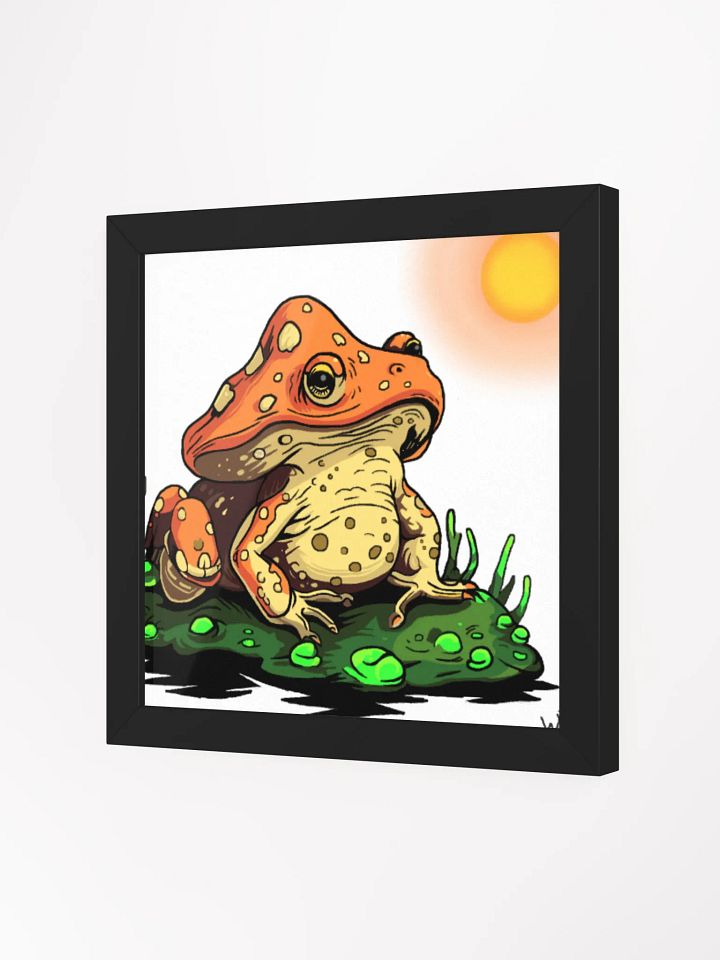 Mushroom Toad product image (7)