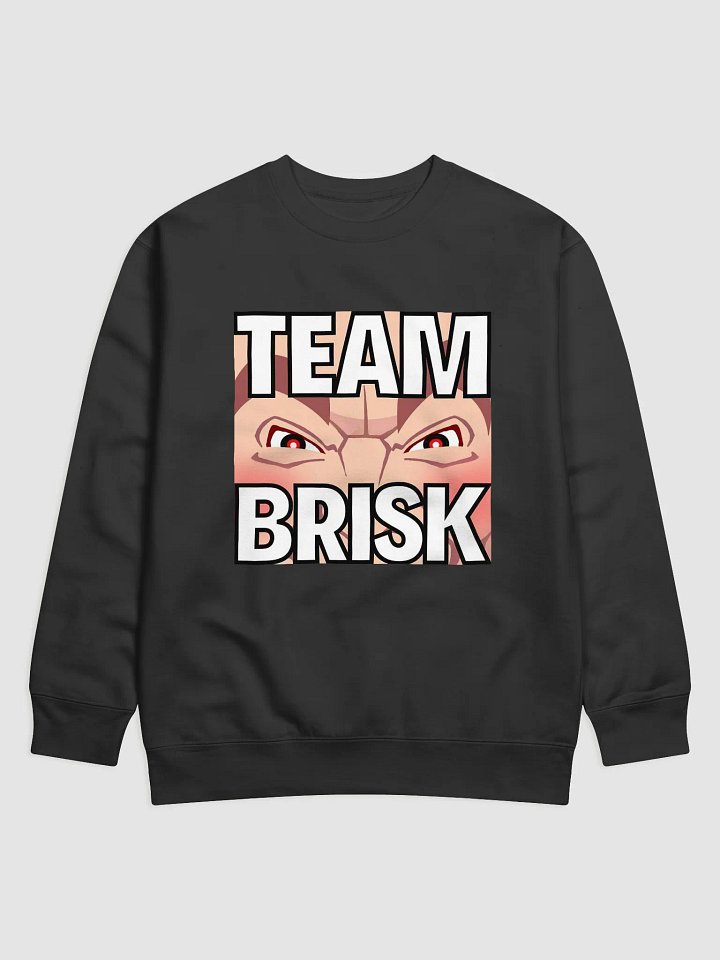 Team Brisk Sweater product image (1)