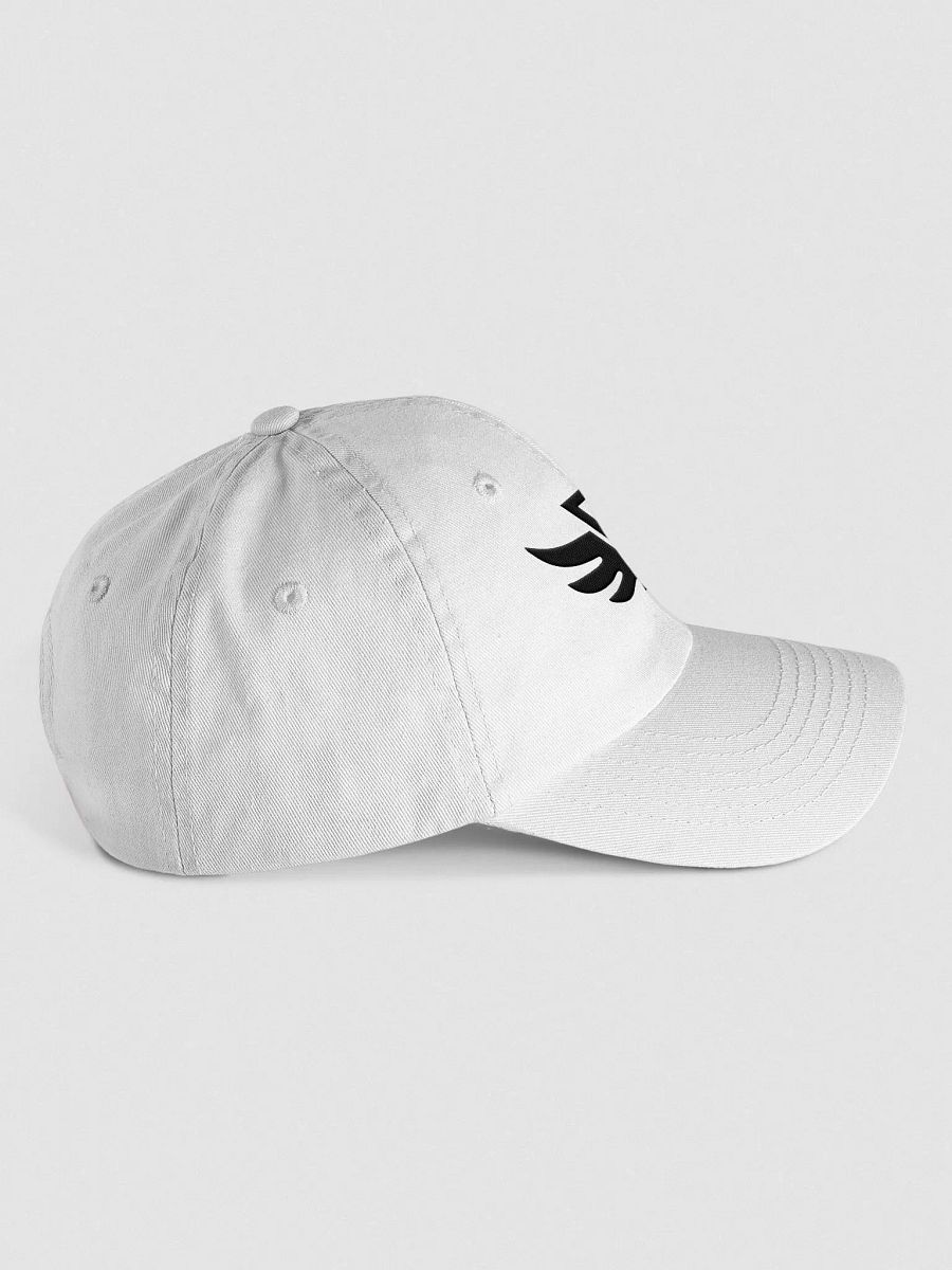 CraytoX Logo Wings Cap - White product image (4)