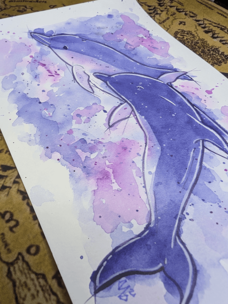 Dolphin Ink Sketch Watercolor product image (2)