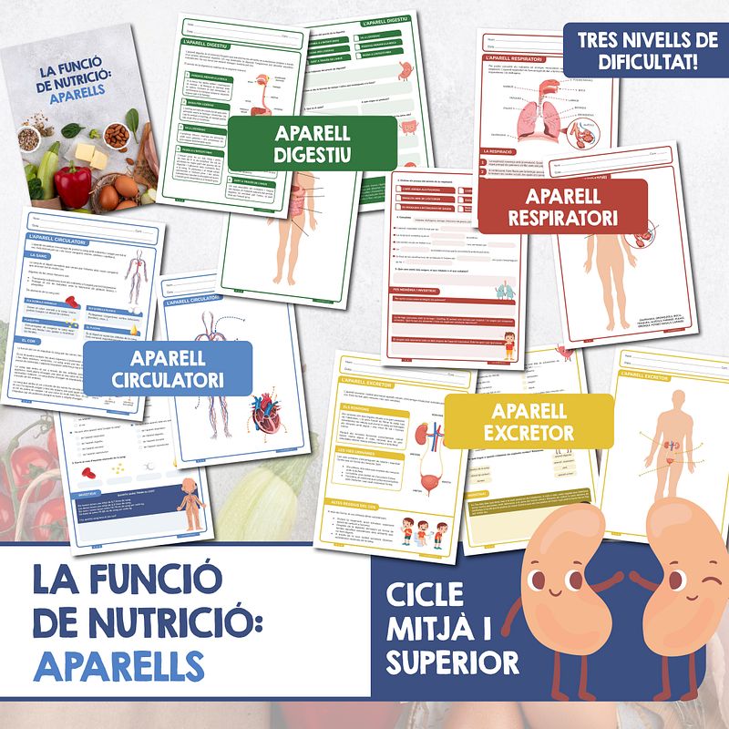 La funció de nutrició: aparells