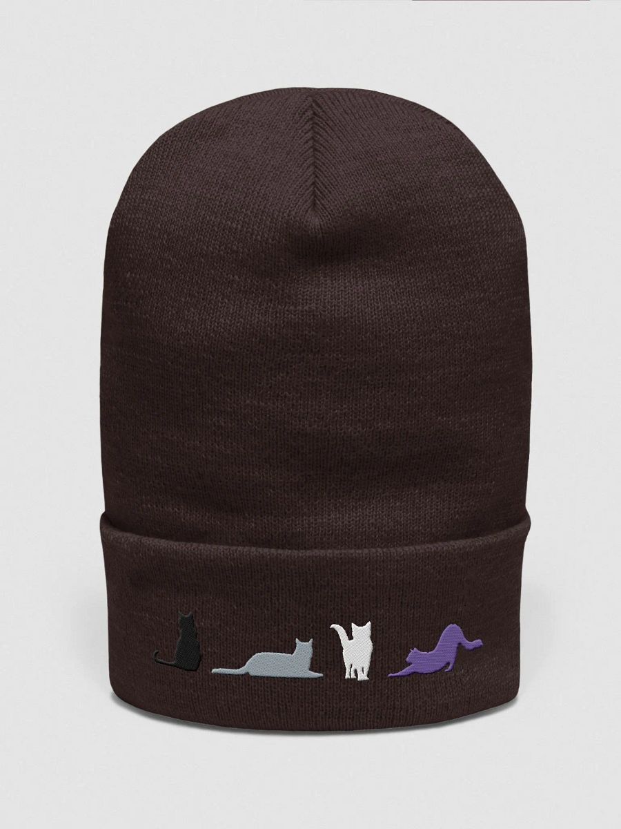 Asexual Pride Cats Beanie product image (4)