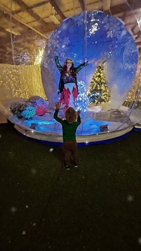 Did you know @glow_halifax has a GIANT snowglobe?!? Of course I had to sea for myself.....

#glowhalifax #glowgardens #letitg...