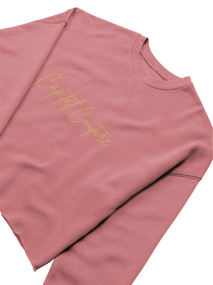 capital couture crop sweatshirt product image (42)