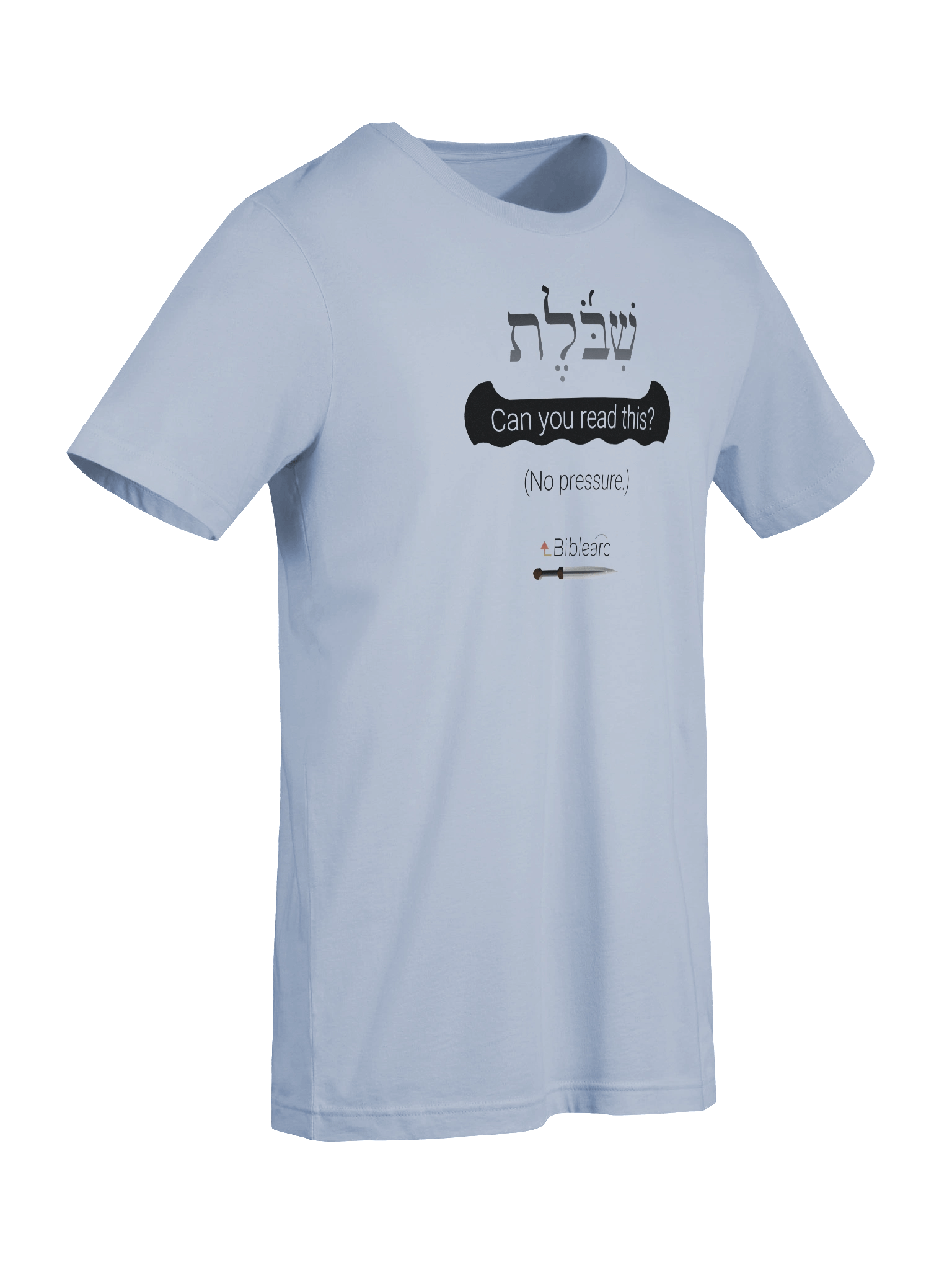 Shibboleth T-Shirt product image (76)