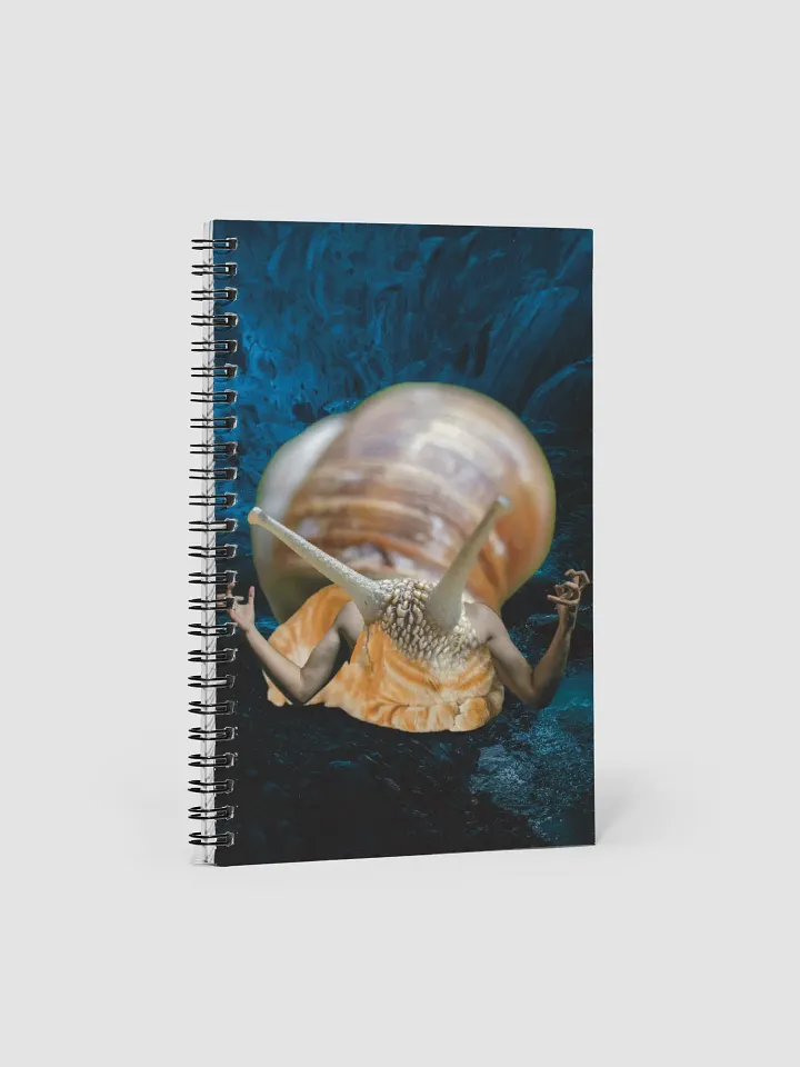 IMPORTANT NOTES product image (1)