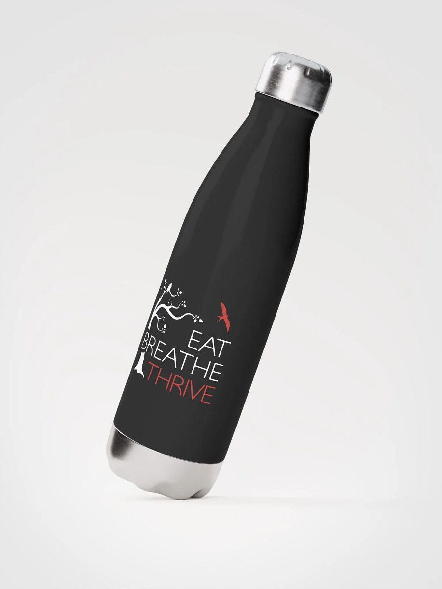 EBT water bottle | black product image (2)