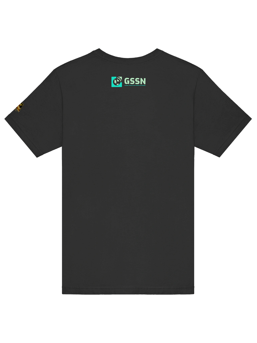 Premier Simulation Basketball - PSB Birmingham Vulcans Logo T-Shirt product image (21)