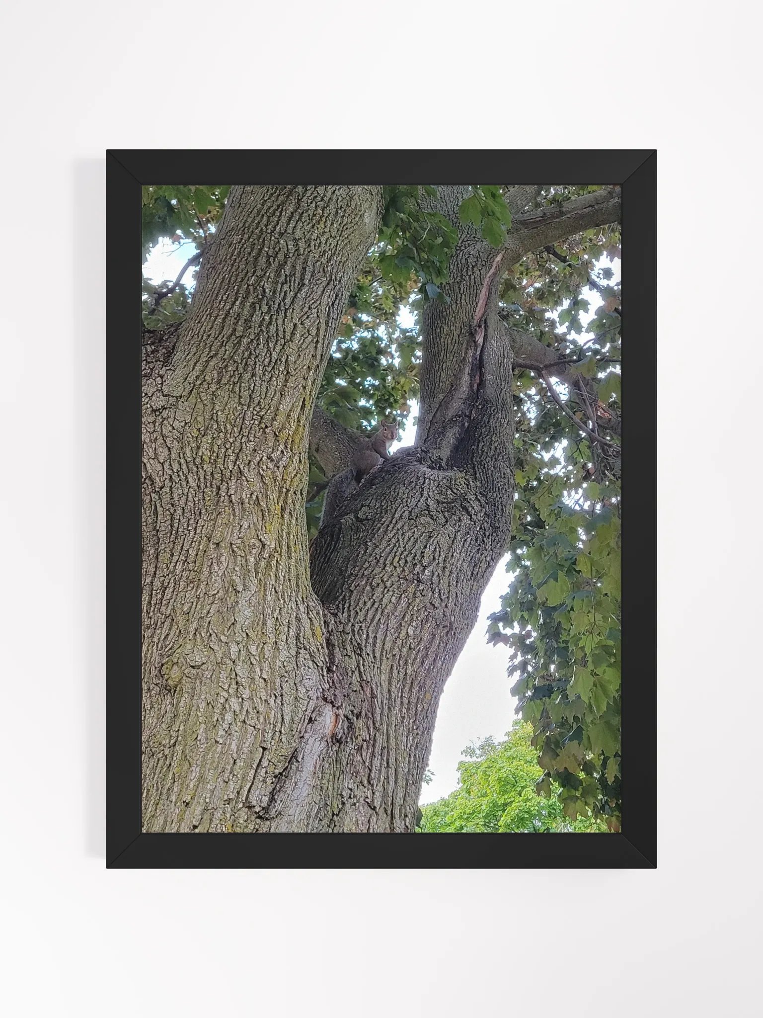 Nature's Embrace Framed Poster product image (1)