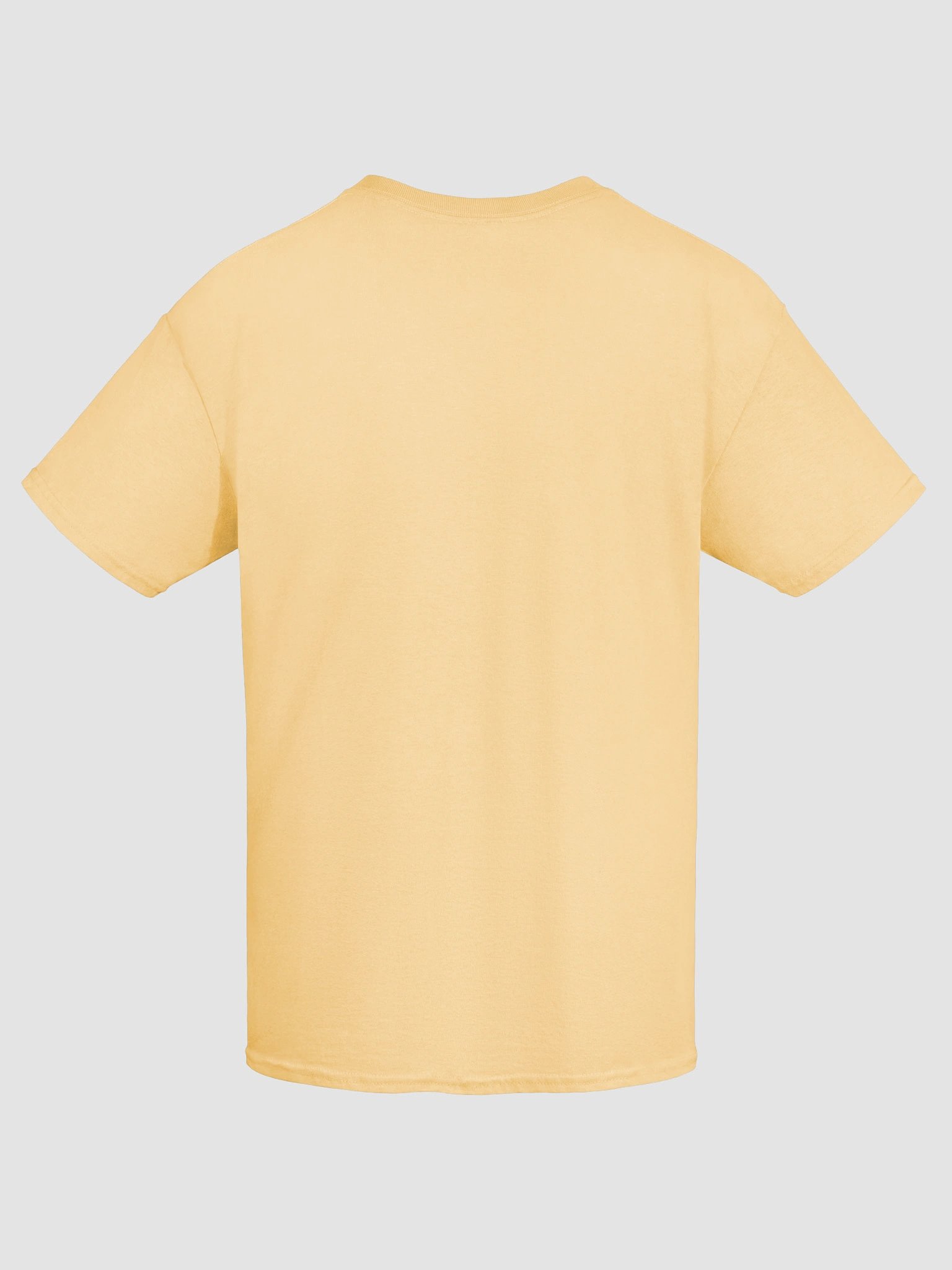 Healthy Wealthy Vegetarian & Vegan T-Shirt product image (9)
