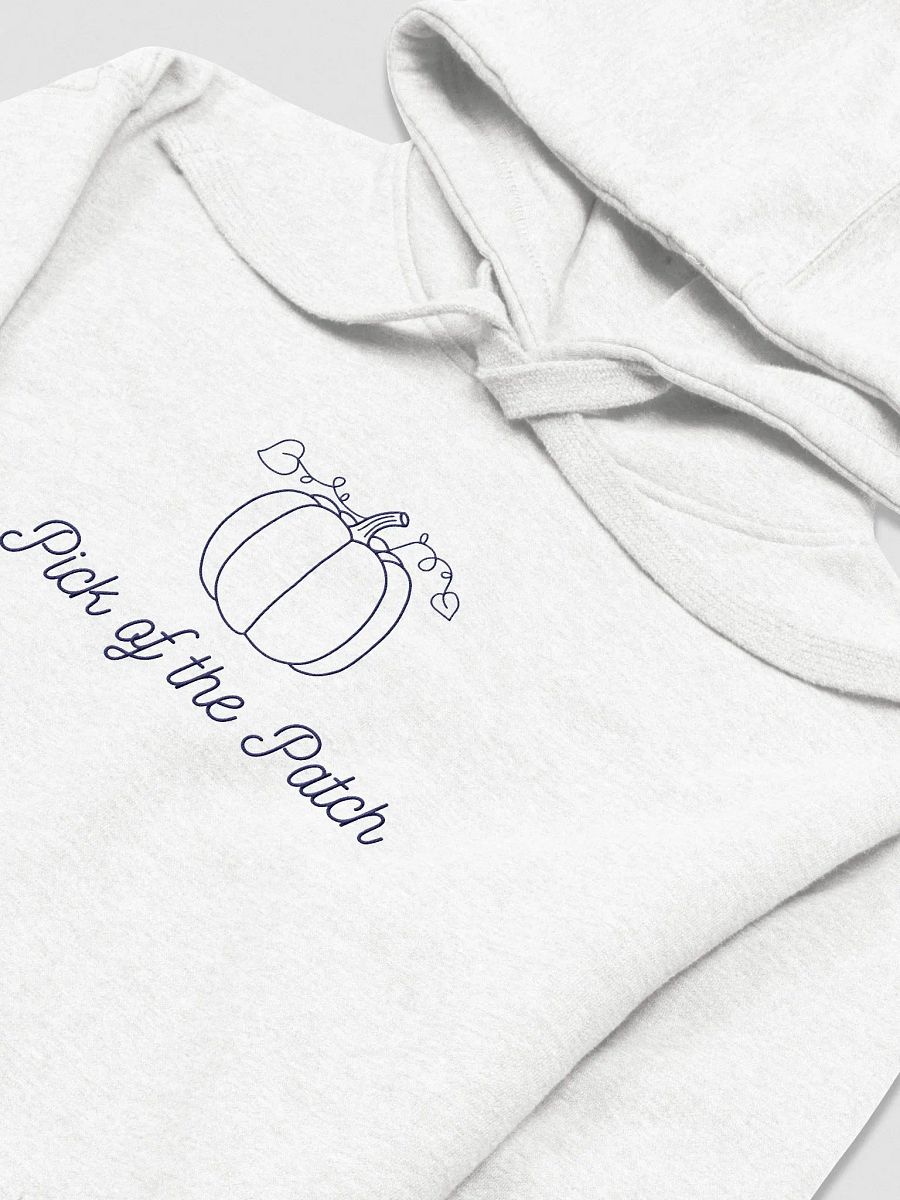 Pumpkin Patch Dreams Embroidery Hoodie product image (2)