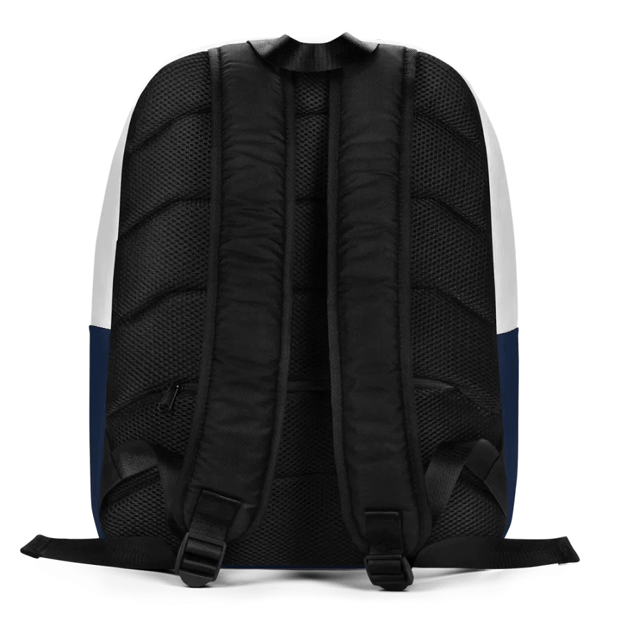 Raymond Lewis L.A. Legend Color Backpack product image (4)