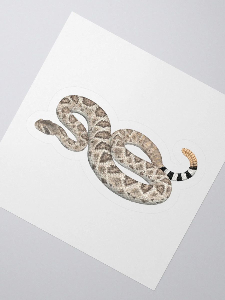 Die Cut Sticker – Western Diamondback Rattlesnake product image (2)