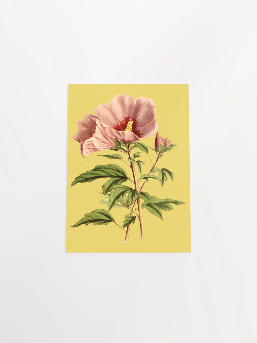 Pink Blossom Poster Print product image (7)