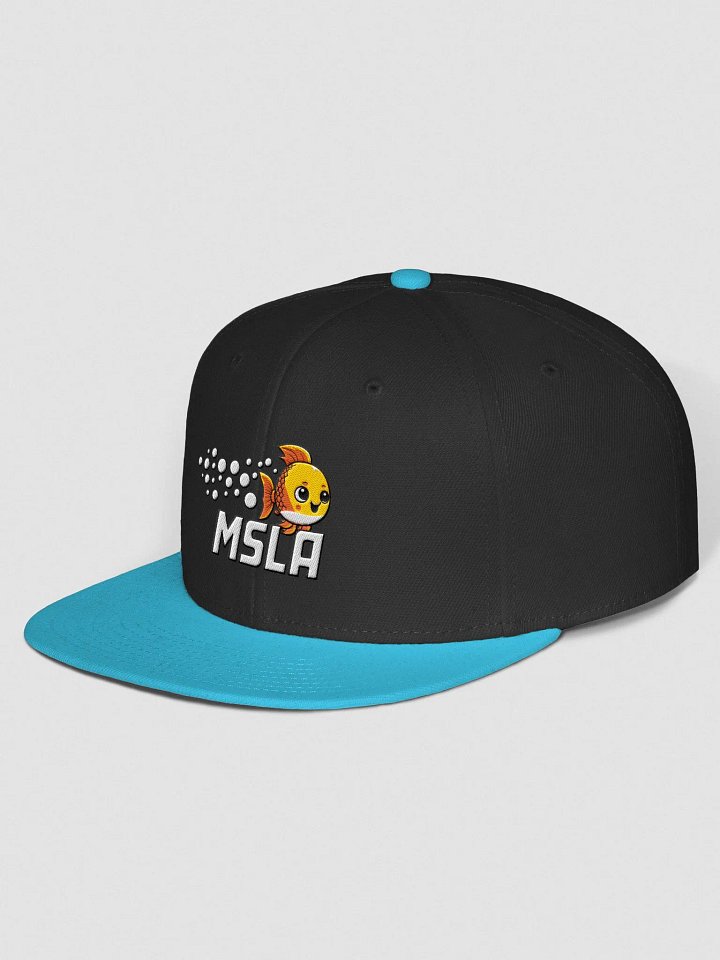 Neptune - Snapback Cap product image (26)