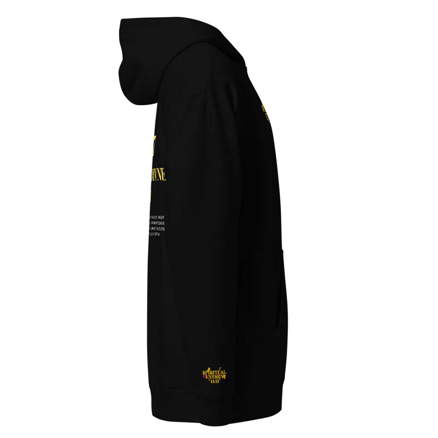 7777 Trust the Divine Path Unisex Hoodie – Embrace Divine Guidance product image (3)