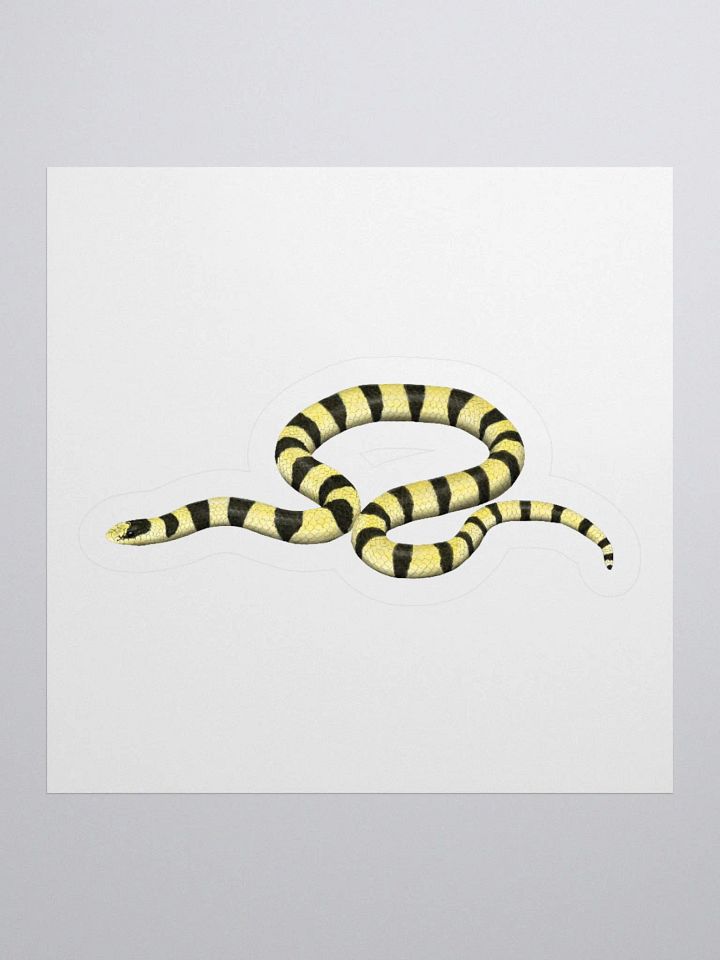 Die-Cut Sticker – Resplendent Shovelnosed Snake (Mohave Phase) product image (1)