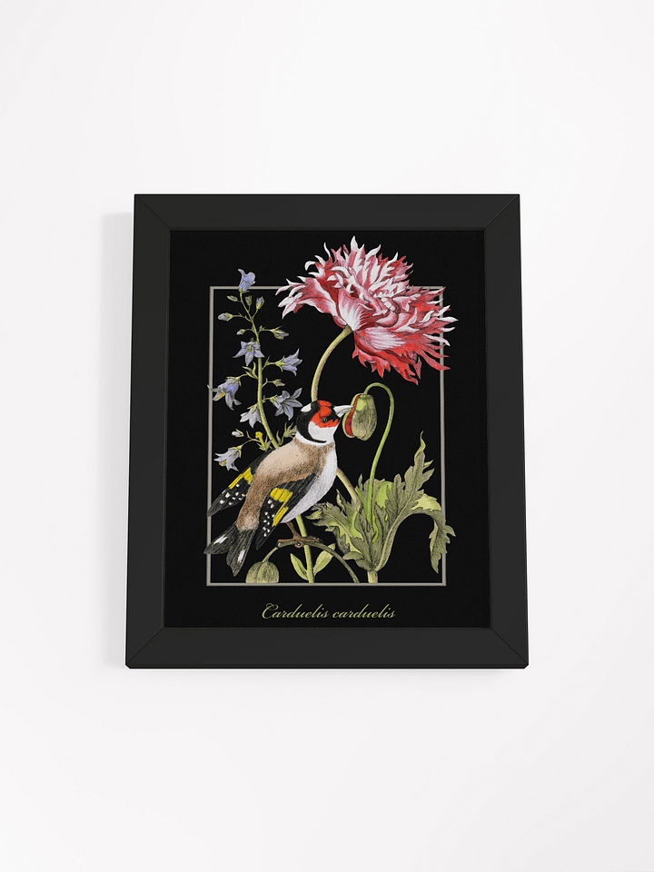 European Goldfinch Framed Matte Poster product image (1)