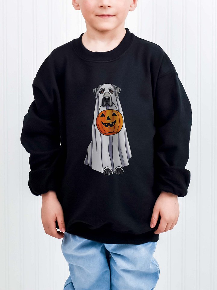 Halloween Great Dane(Blue) Youth Sweatshirt product image (1)