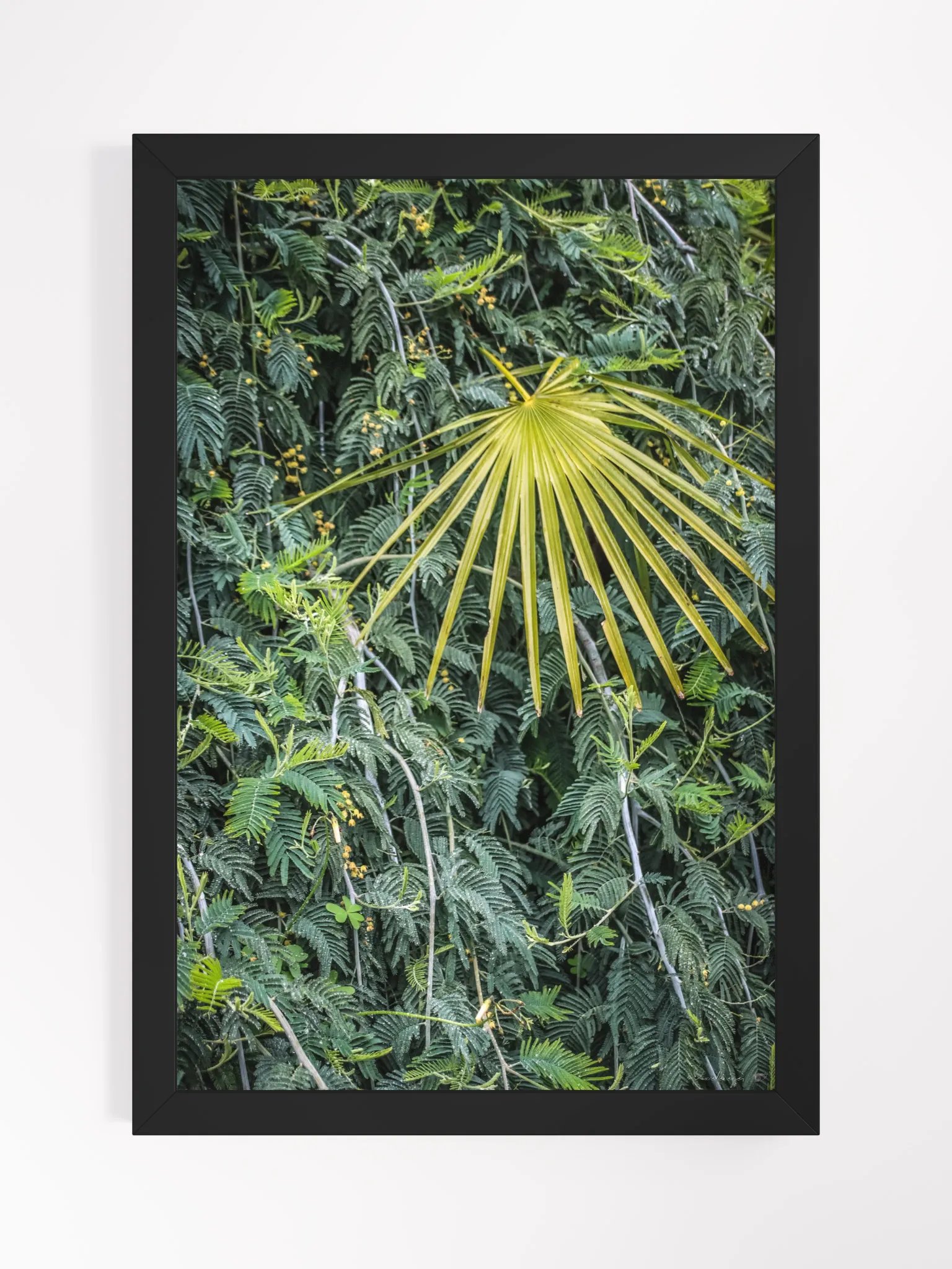 Print Fine Art – The Glow of the Palm | Rayol Canadel Collection product image (2)