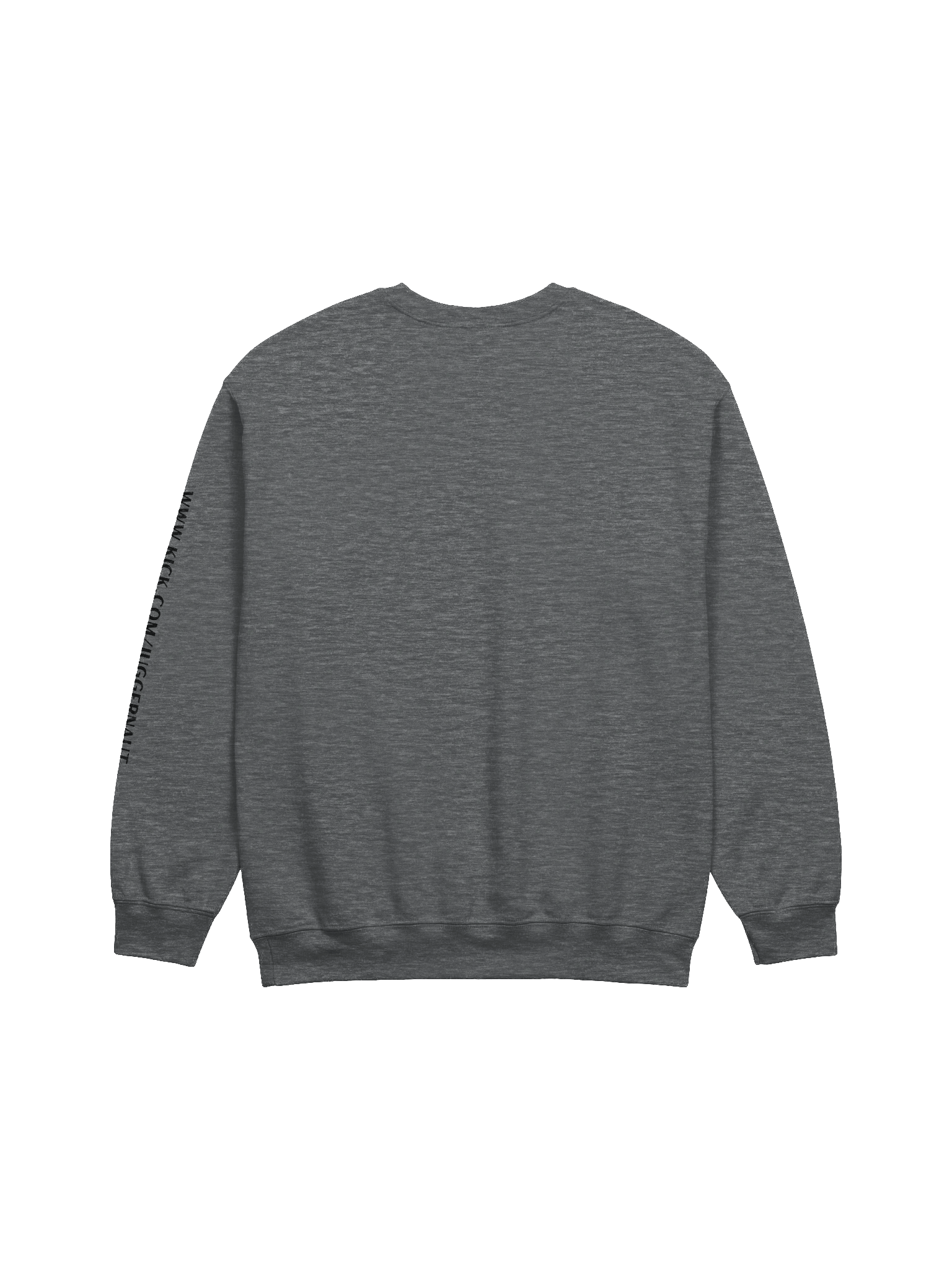 AOJ Sweatshirt product image (8)