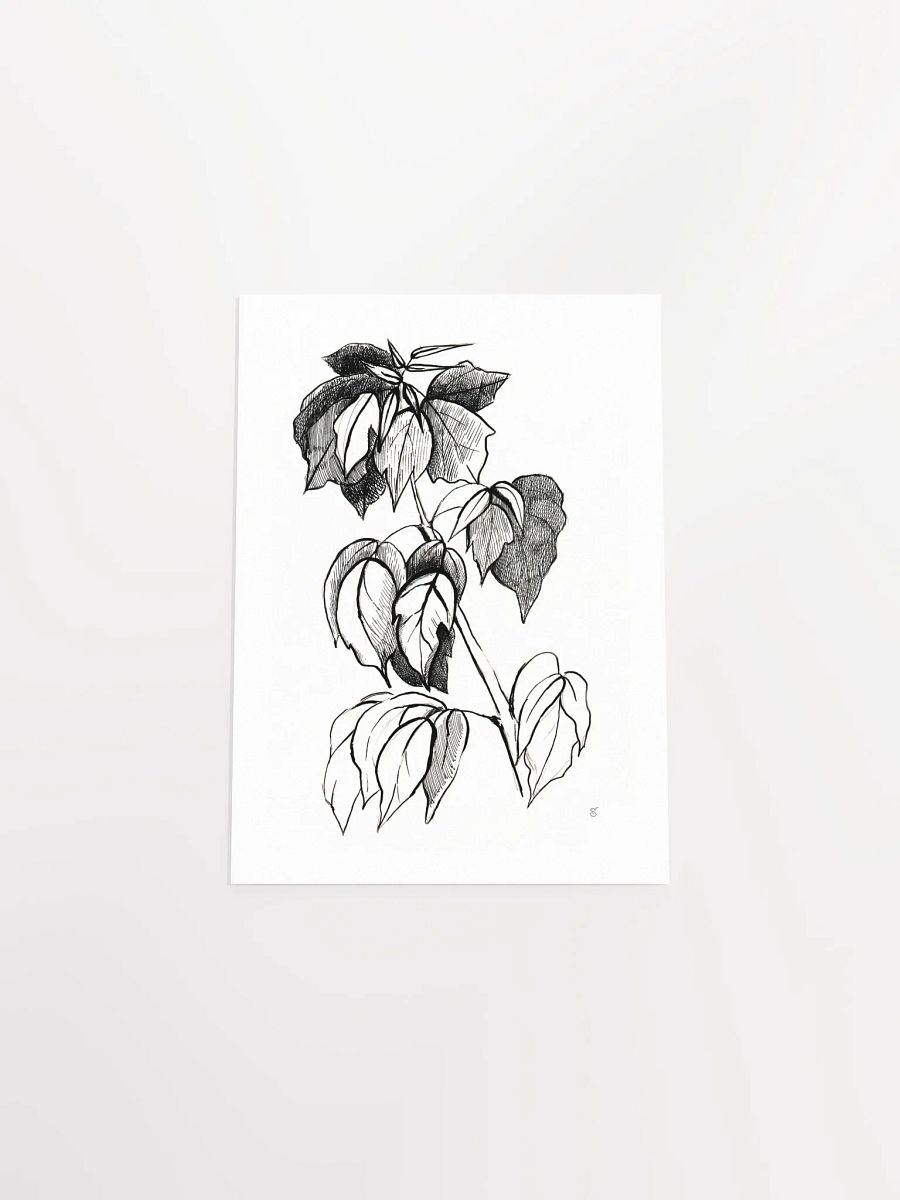 Botanical Bliss Matte Poster - Stylish Graphical Twig product image (4)