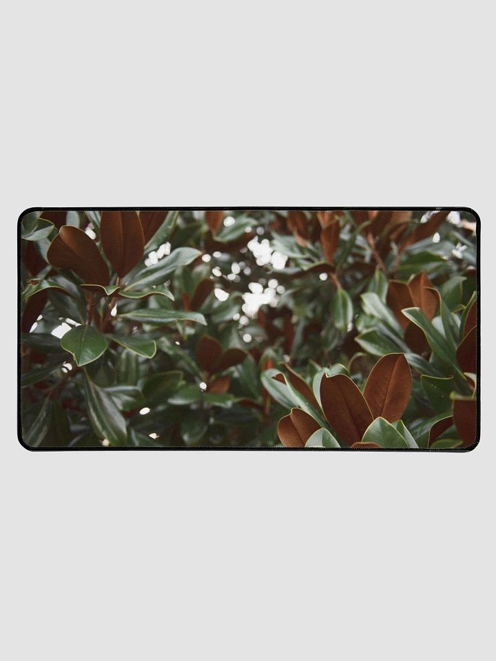Desk Mat L3 - Southern Louisiana Series product image (1)