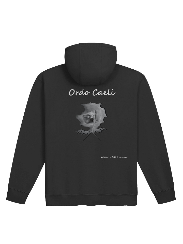 Ordo Caeli Pullover Hoodie - Winter 2026 product image (2)
