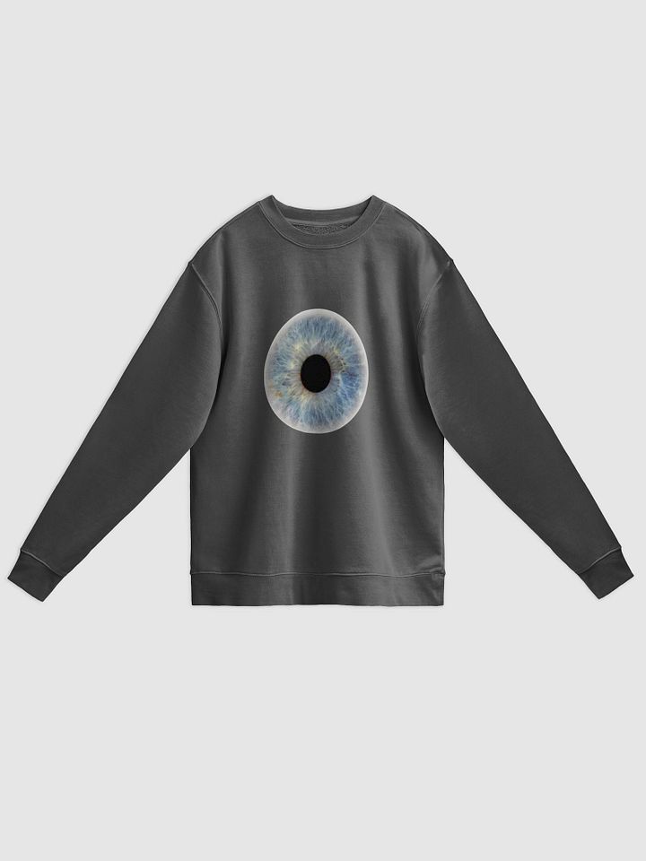 DYK Pigment Dyed Sweatshirt product image (3)