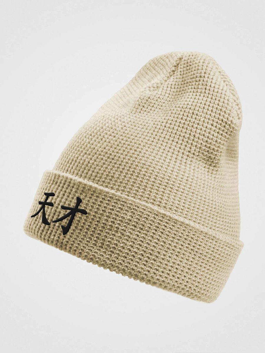 Genius Waffle Beanie product image (3)